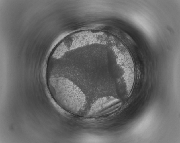 X0000111581054200908131314