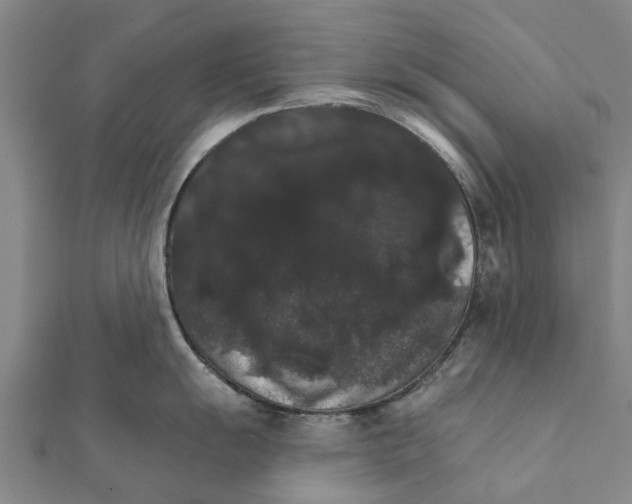 X0000111581055200908131314