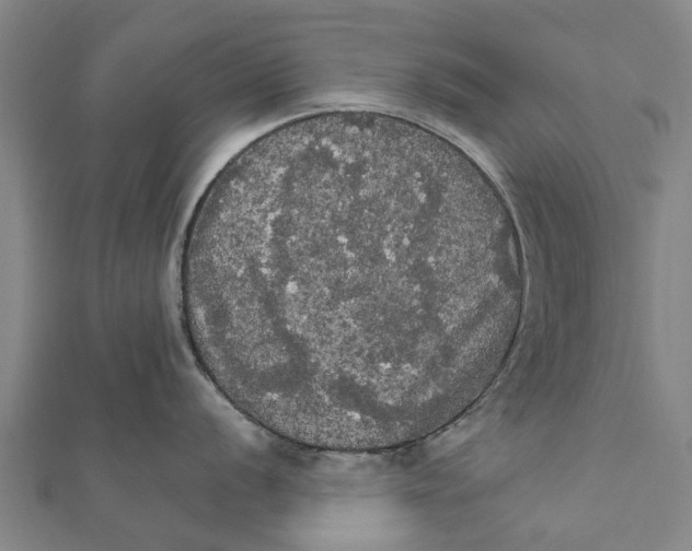 X0000111581056200908131314