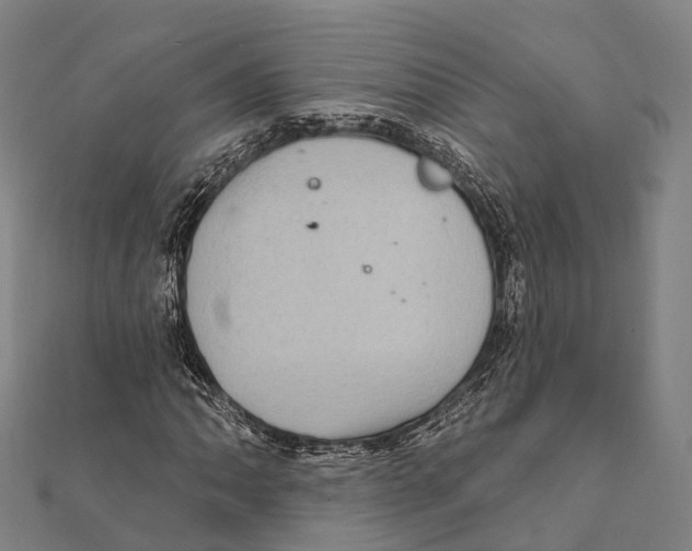 X0000111581062200908131314