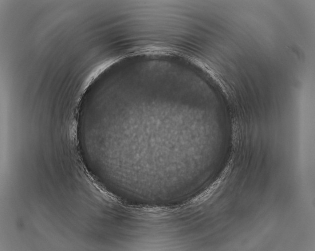 X0000111581066200908131314