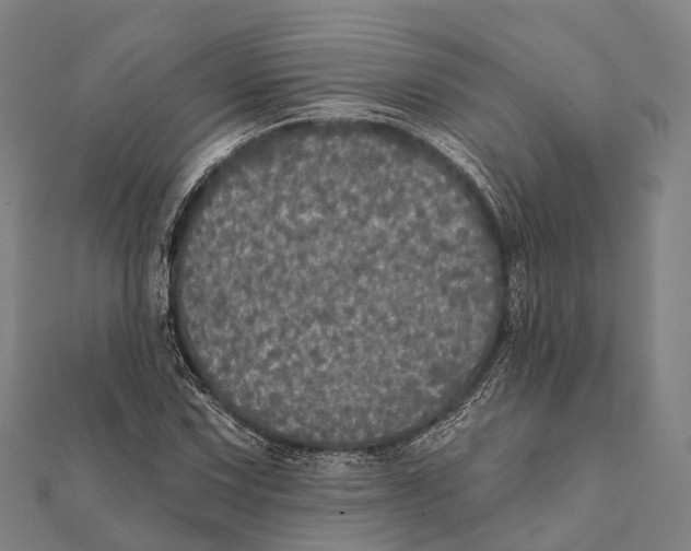 X0000111581067200908131314