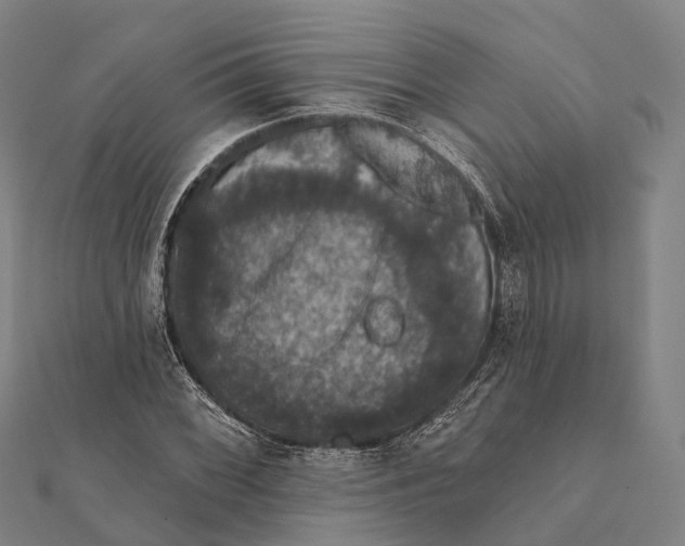 X0000111581068200908131314