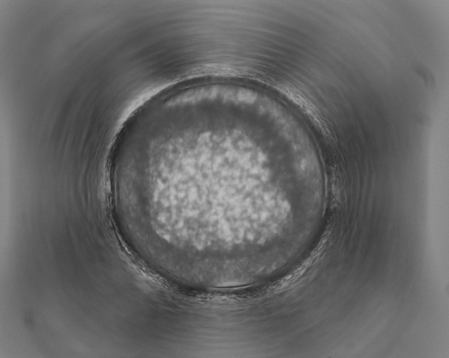 X0000111581070200908131314