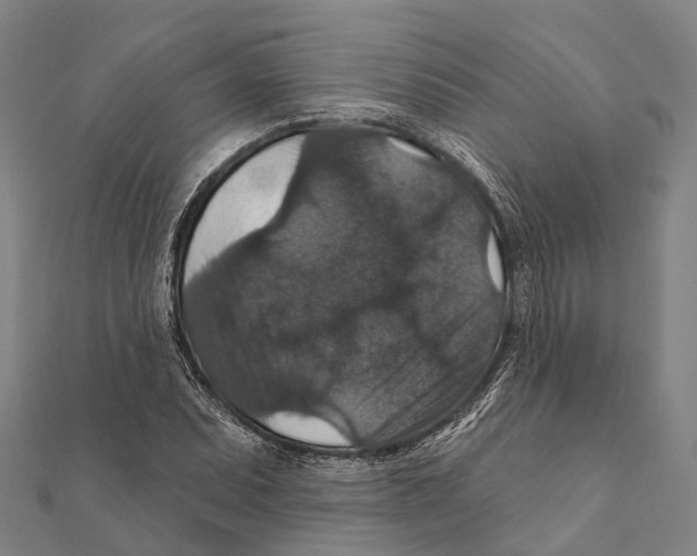 X0000111581071200908131313