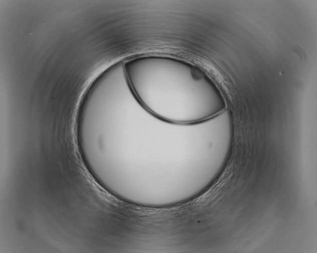 X0000111581072200908131313