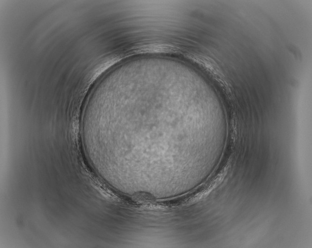 X0000111581073200908131313