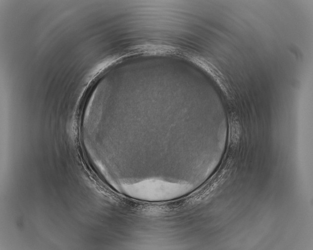 X0000111581074200908131313