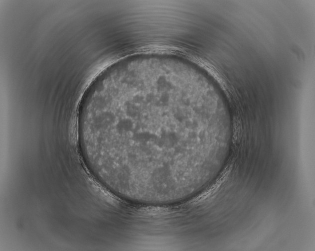 X0000111581075200908131313