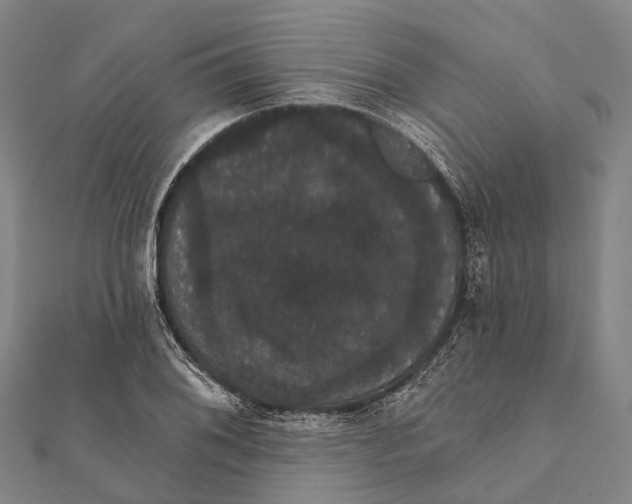 X0000111581076200908131313