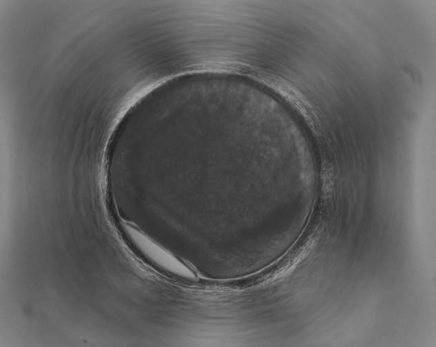 X0000111581077200908131313