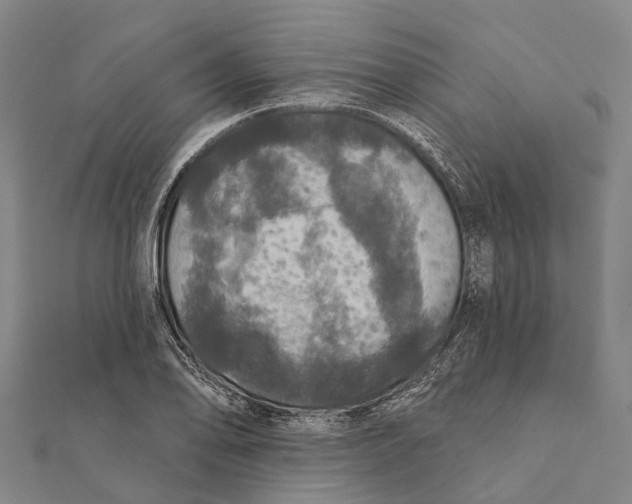 X0000111581078200908131313