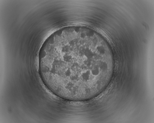 X0000111581079200908131313