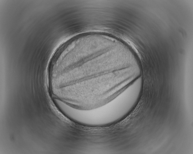 X0000111581080200908131313