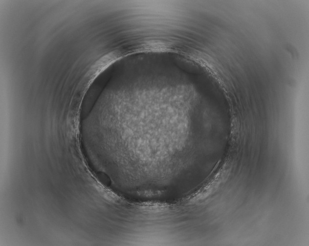 X0000111581081200908131313