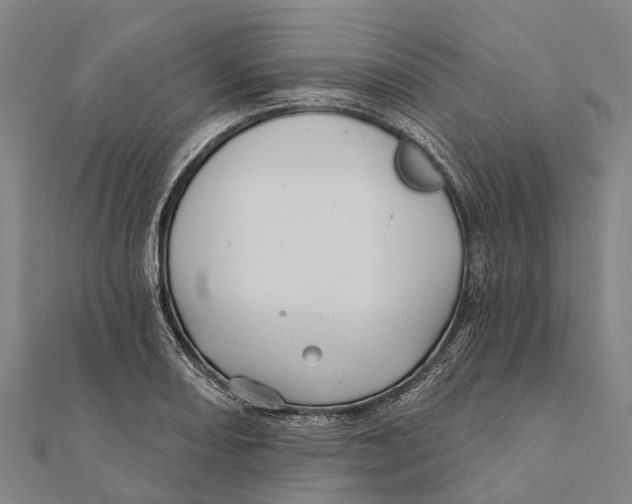 X0000111581082200908131313