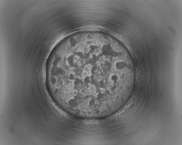 X0000111581083200908131313