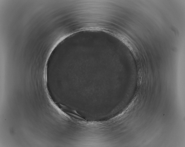 X0000111581084200908131313