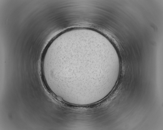 X0000111581085200908131313