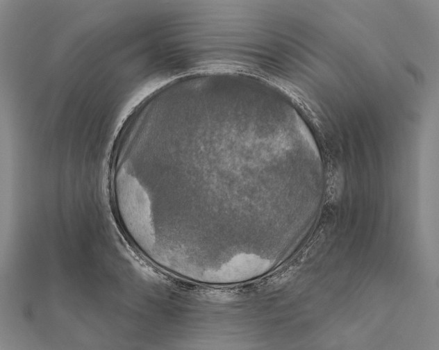 X0000111581086200908131313