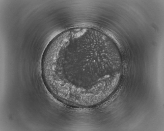 X0000111581087200908131313