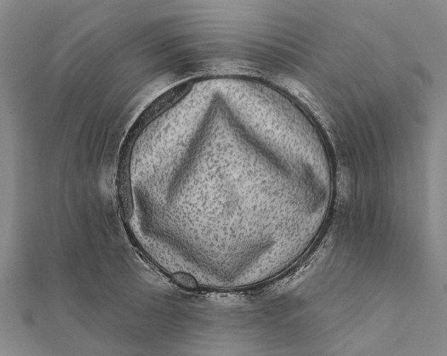 X0000111581089200908131313