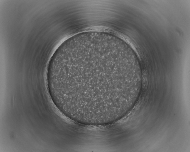 X0000111581091200908131313