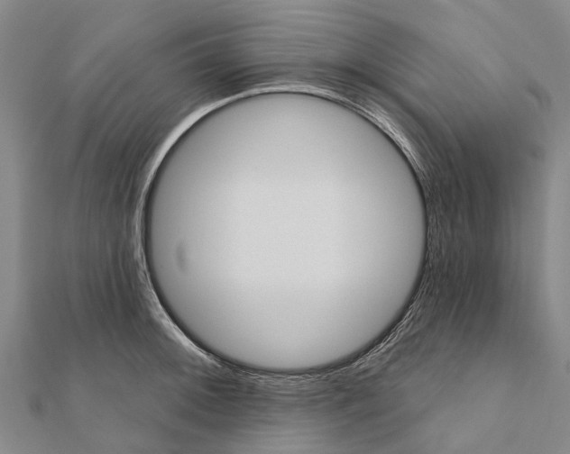 X0000111581092200908131313