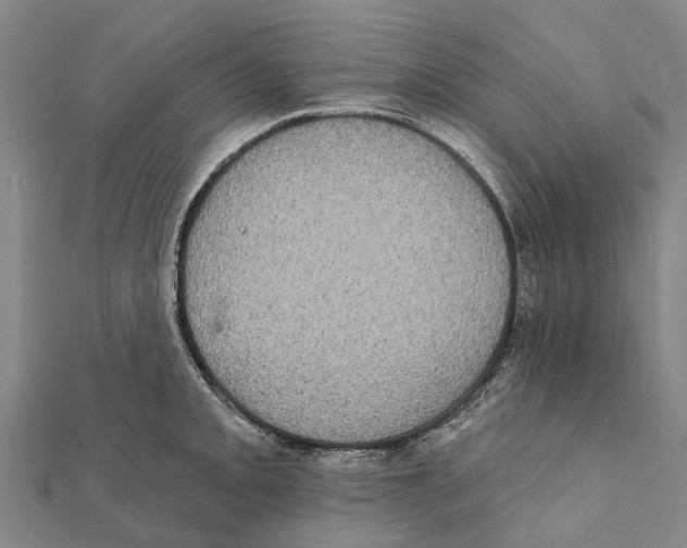 X0000111581093200908131313