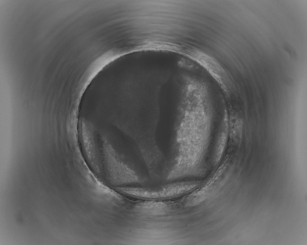 X0000111581094200908131313