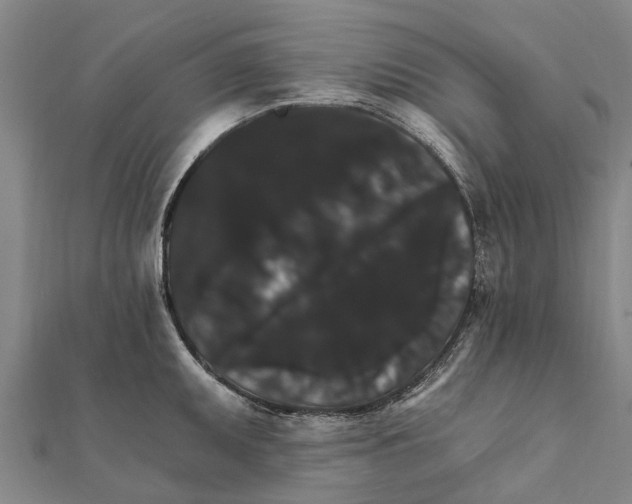 X0000111581095200908131313