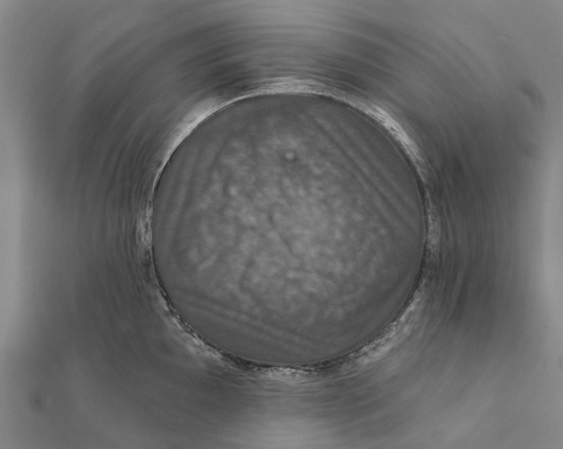 X0000111581097200908131313