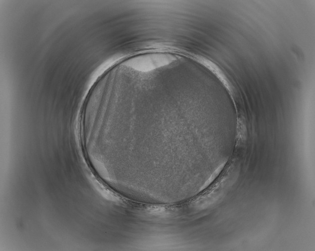 X0000111581098200908131313