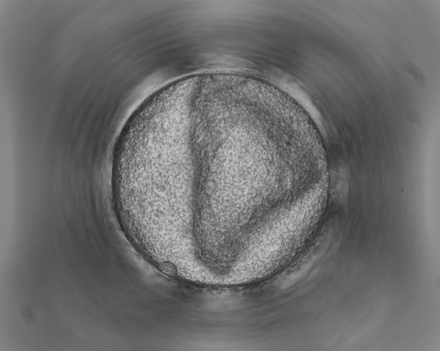 X0000111581099200908131313