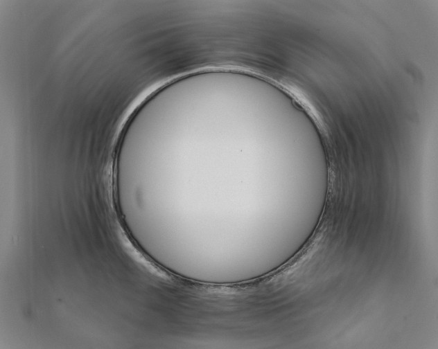 X0000111581100200908131313