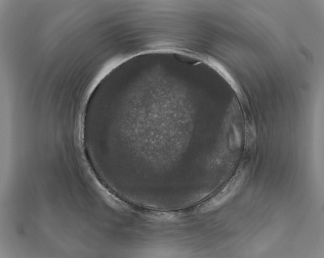 X0000111581101200908131313