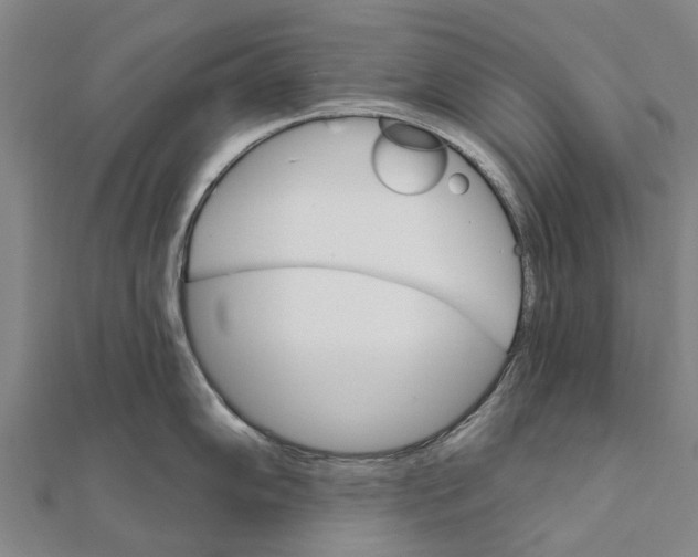 X0000111581102200908131313