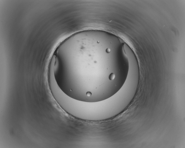 X0000111581104200908131313