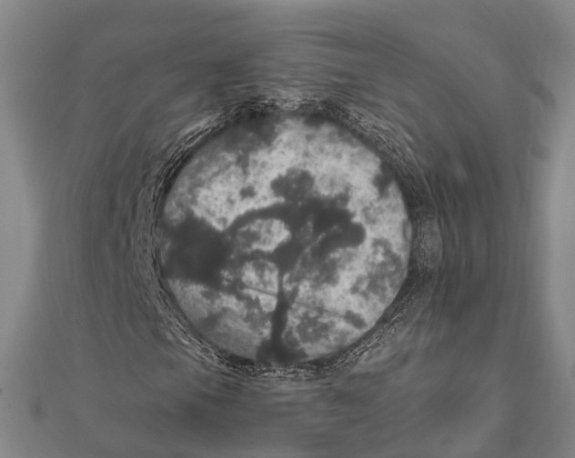 X0000111581105200908131312