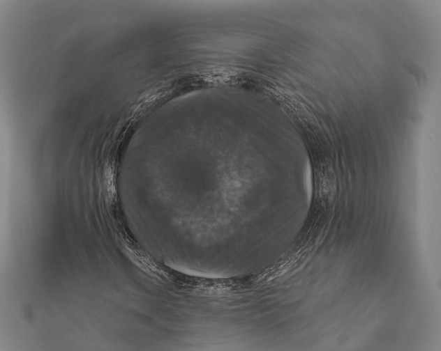 X0000111581106200908131312