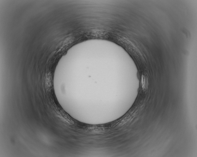 X0000111581107200908131312