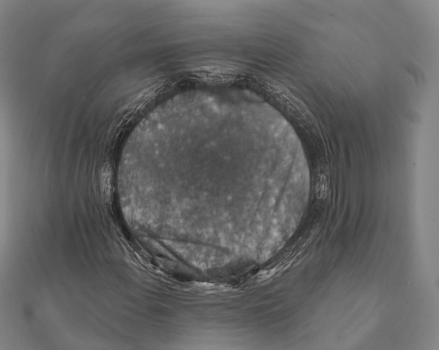 X0000111581108200908131312