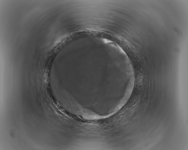 X0000111581110200908131313