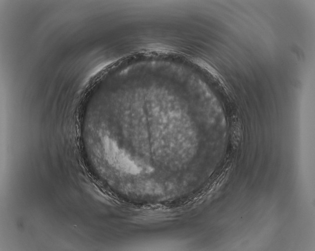 X0000111581112200908131313