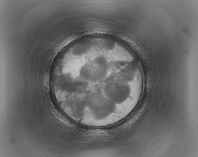 X0000111581113200908131313