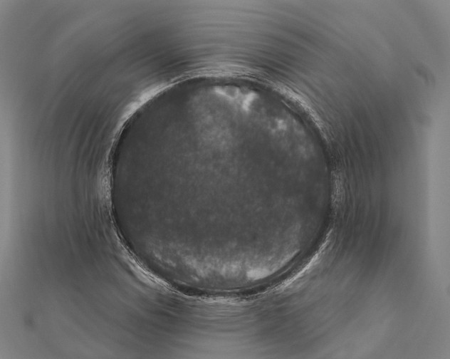 X0000111581114200908131313