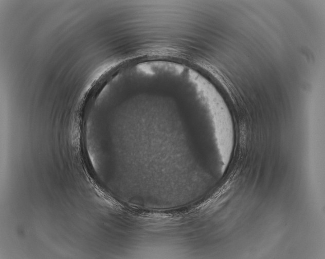 X0000111581115200908131313