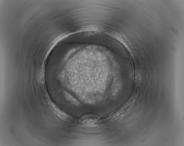 X0000111581116200908131313