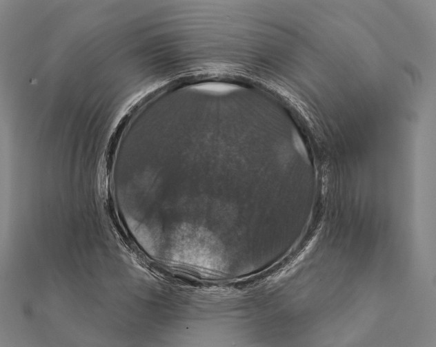 X0000111581117200908131313