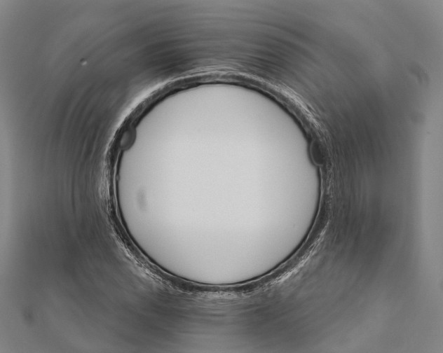 X0000111581118200908131313